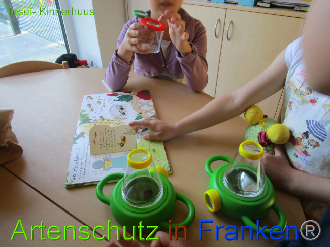 © Artenschutz in Franken® Bild zum Eintrag (1051512-160)