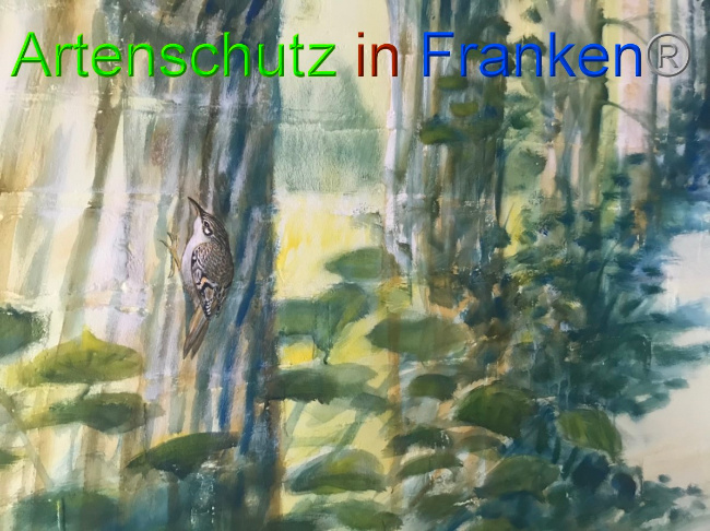 Bild zum Eintrag (1051564-160)