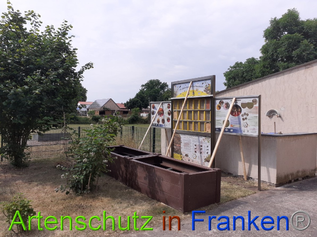 Bild zum Eintrag (1051623-160)