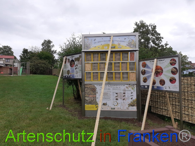 © Artenschutz in Franken® Bild zum Eintrag (1051631-160)