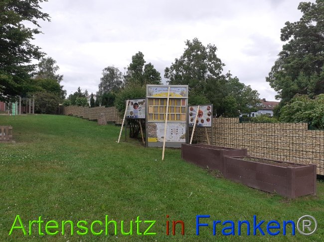 © Artenschutz in Franken® Bild zum Eintrag (1051633-160)