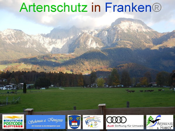 © Artenschutz in Franken® Bild zum Eintrag (1051758-160)