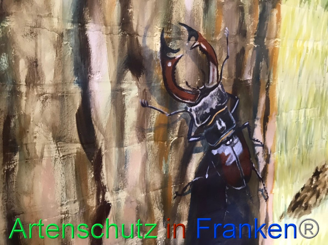 © Artenschutz in Franken® Bild zum Eintrag (1051776-160)