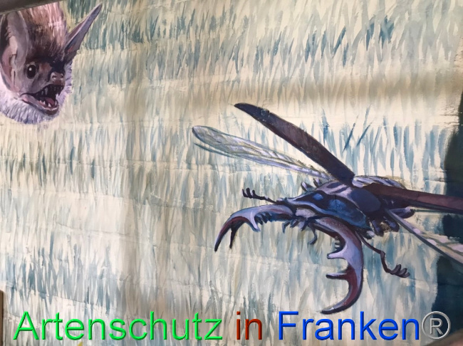 © Artenschutz in Franken® Bild zum Eintrag (1051777-160)