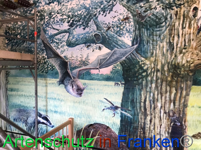 © Artenschutz in Franken® Bild zum Eintrag (1051779-160)