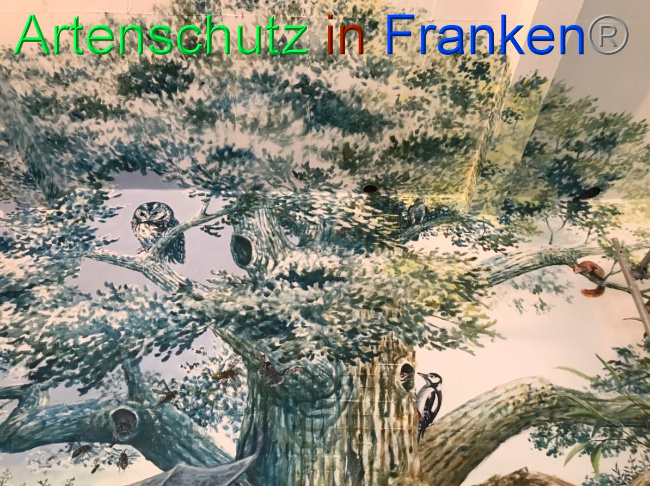 © Artenschutz in Franken® Bild zum Eintrag (1051785-160)