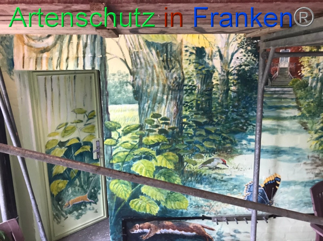 © Artenschutz in Franken® Bild zum Eintrag (1051786-160)