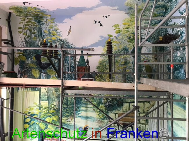 © Artenschutz in Franken® Bild zum Eintrag (1051923-160)