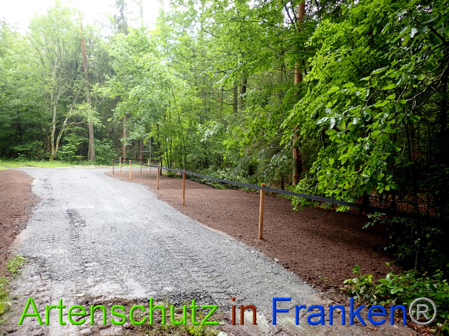 © Artenschutz in Franken® Bild zum Eintrag (1052310-160)