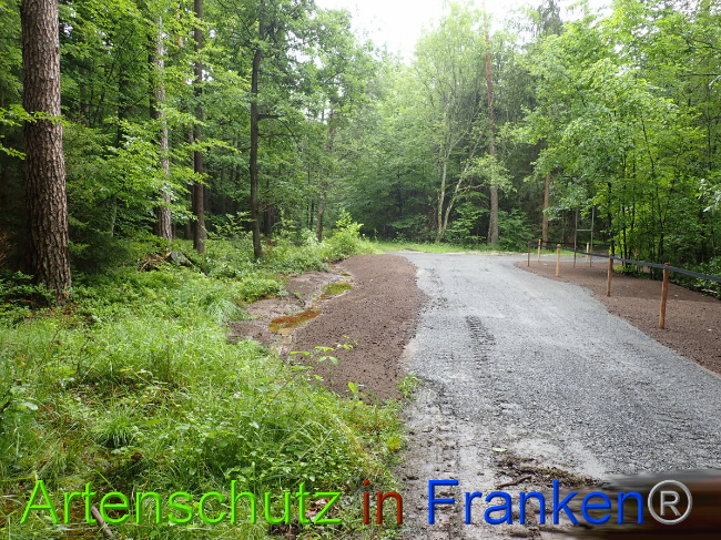 © Artenschutz in Franken® Bild zum Eintrag (1052315-160)