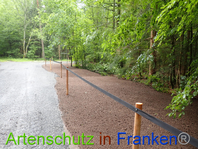 © Artenschutz in Franken® Bild zum Eintrag (1052316-160)