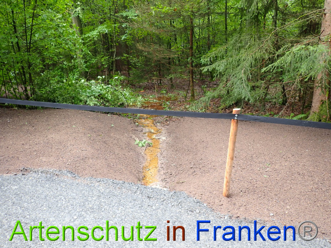 © Artenschutz in Franken® Bild zum Eintrag (1052317-160)