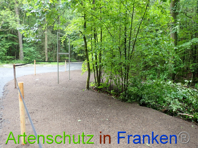 © Artenschutz in Franken® Bild zum Eintrag (1052320-160)