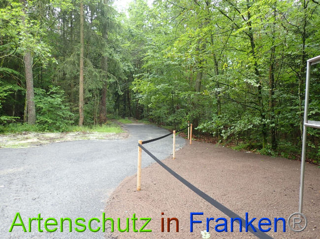 © Artenschutz in Franken® Bild zum Eintrag (1052321-160)