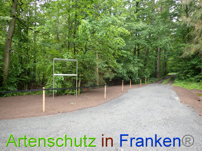 © Artenschutz in Franken® Bild zum Eintrag (1052323-160)