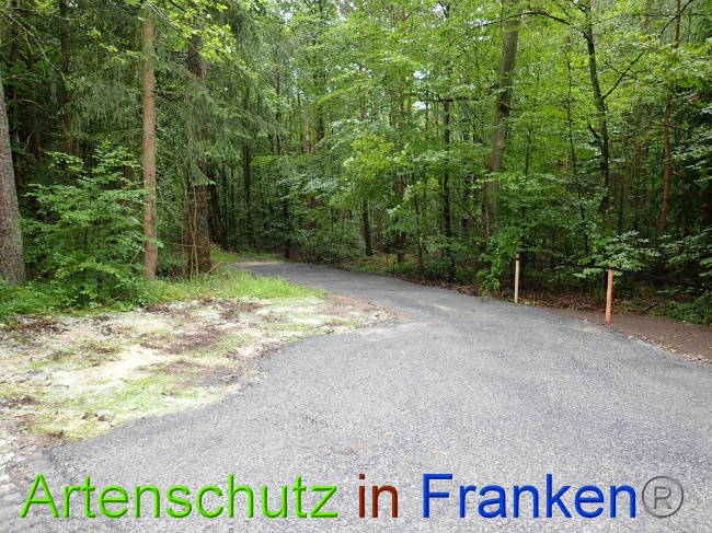 © Artenschutz in Franken® Bild zum Eintrag (1052329-160)