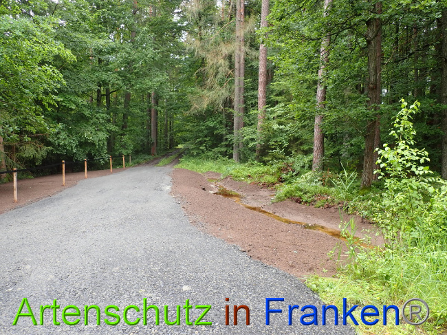 © Artenschutz in Franken® Bild zum Eintrag (1052331-160)