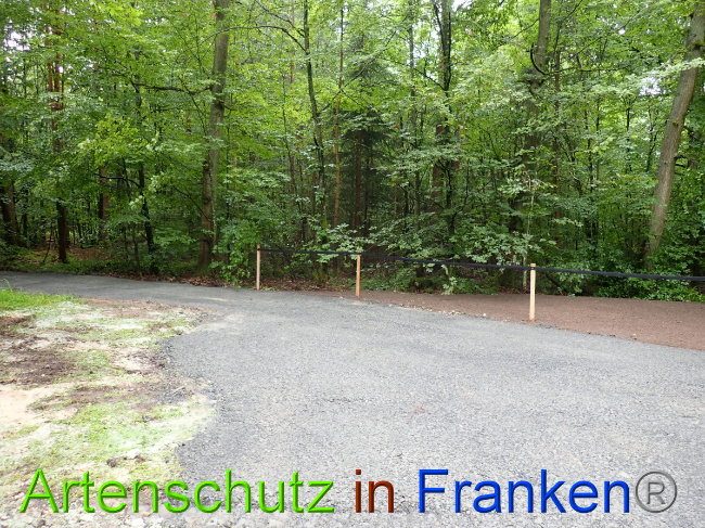 © Artenschutz in Franken® Bild zum Eintrag (1052333-160)