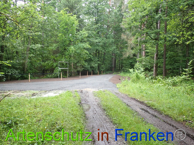 © Artenschutz in Franken® Bild zum Eintrag (1052335-160)