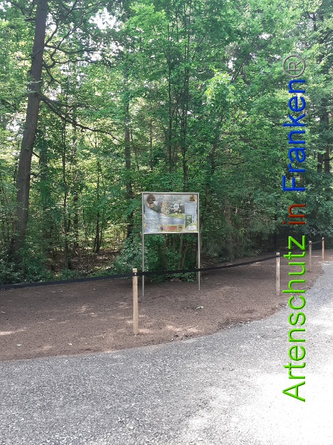 © Artenschutz in Franken® Bild zum Eintrag (1052402-160)
