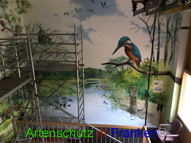 © Artenschutz in Franken® Bild zum Eintrag (1052605-160)