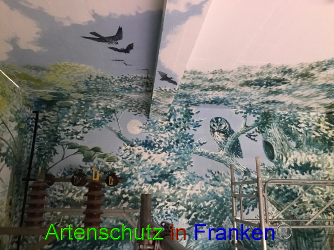 © Artenschutz in Franken® Bild zum Eintrag (1052608-160)