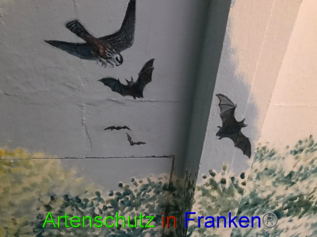 © Artenschutz in Franken® Bild zum Eintrag (1052609-160)