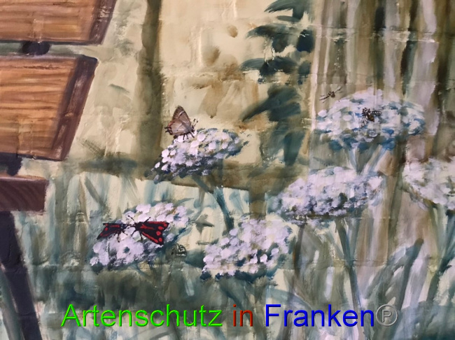 © Artenschutz in Franken® Bild zum Eintrag (1052620-160)
