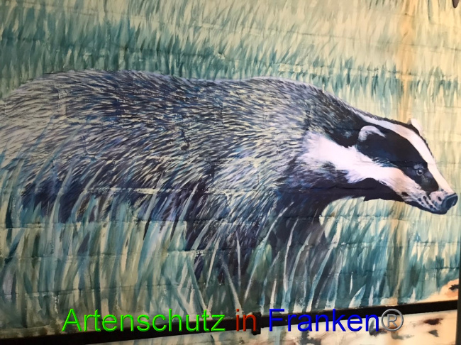 © Artenschutz in Franken® Bild zum Eintrag (1052621-160)