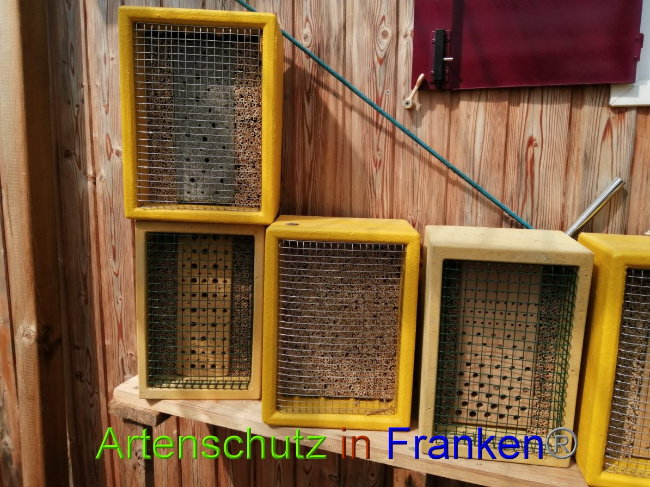 © Artenschutz in Franken® Bild zum Eintrag (1052641-160)