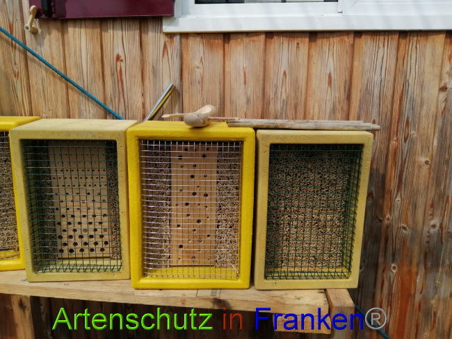 © Artenschutz in Franken® Bild zum Eintrag (1052644-160)