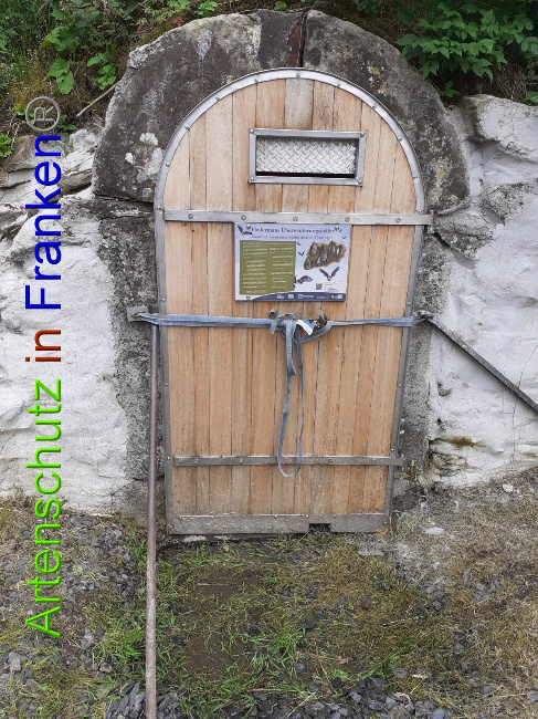 © Artenschutz in Franken® Bild zum Eintrag (1052651-160)