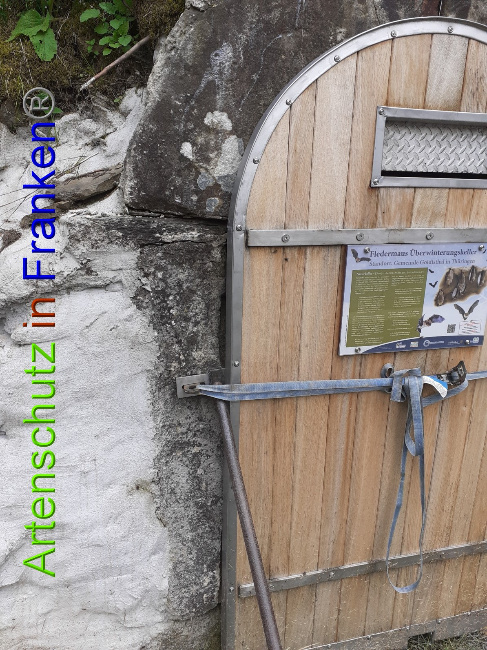 © Artenschutz in Franken® Bild zum Eintrag (1052652-160)