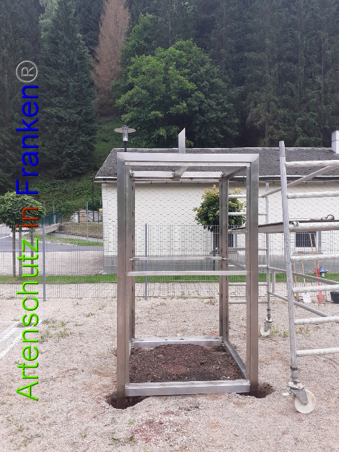 © Artenschutz in Franken® Bild zum Eintrag (1052656-160)