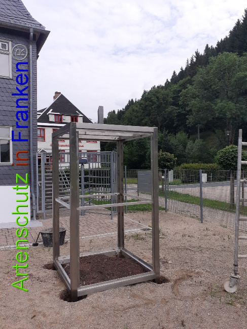 © Artenschutz in Franken® Bild zum Eintrag (1052657-160)