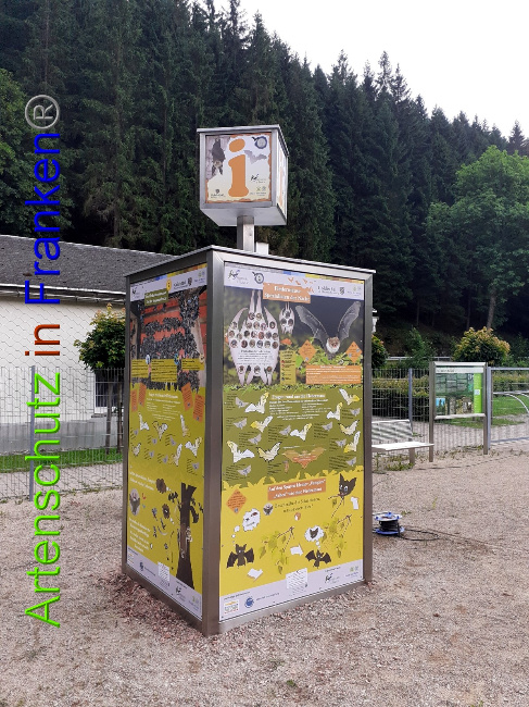 © Artenschutz in Franken® Bild zum Eintrag (1052660-160)