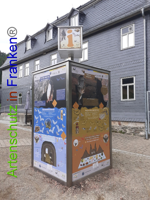 © Artenschutz in Franken® Bild zum Eintrag (1052661-160)