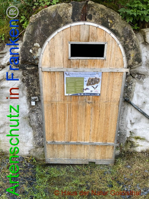 © Artenschutz in Franken® Bild zum Eintrag (1052898-160)