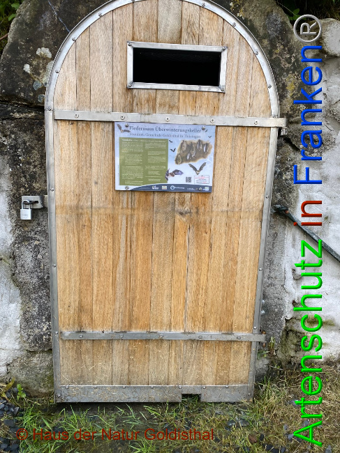 © Artenschutz in Franken® Bild zum Eintrag (1052899-160)