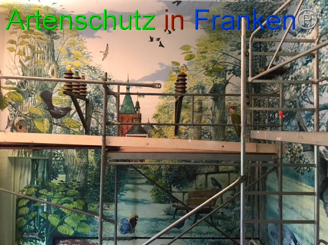 © Artenschutz in Franken® Bild zum Eintrag (1052907-160)
