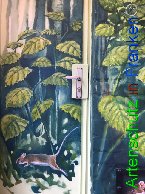 © Artenschutz in Franken® Bild zum Eintrag (1052909-160)