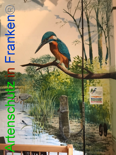© Artenschutz in Franken® Bild zum Eintrag (1052912-160)
