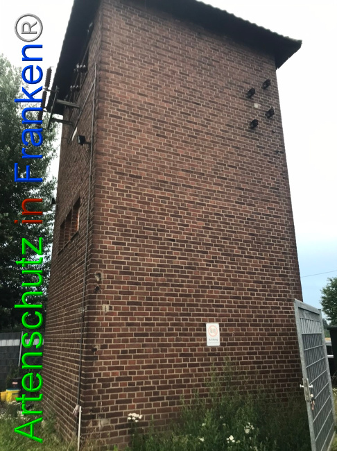 © Artenschutz in Franken® Bild zum Eintrag (1052946-160)