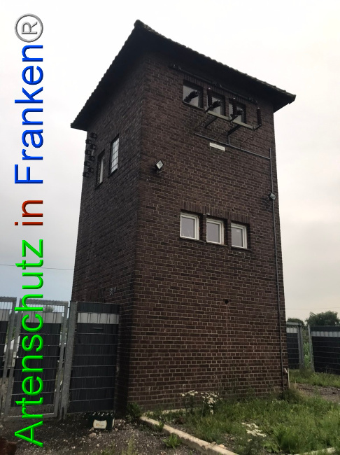 © Artenschutz in Franken® Bild zum Eintrag (1052948-160)