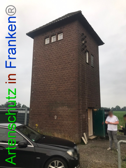 © Artenschutz in Franken® Bild zum Eintrag (1052949-160)
