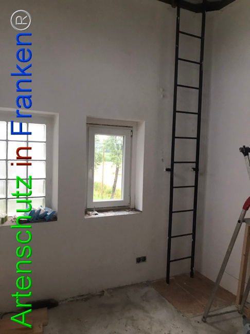 © Artenschutz in Franken® Bild zum Eintrag (1052951-160)