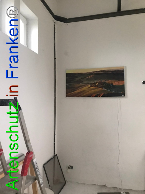 © Artenschutz in Franken® Bild zum Eintrag (1052952-160)