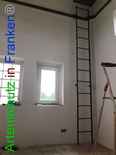 © Artenschutz in Franken® Bild zum Eintrag (1052953-160)