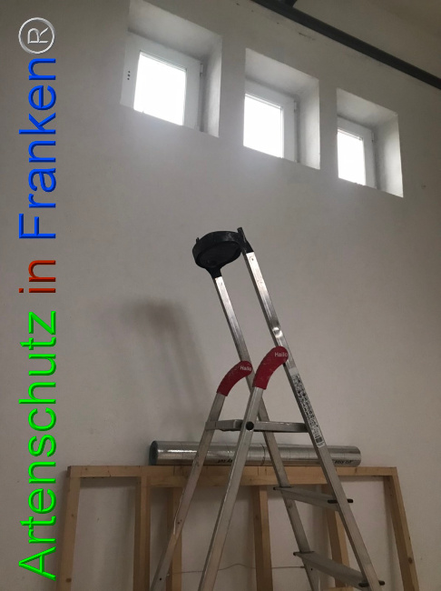 © Artenschutz in Franken® Bild zum Eintrag (1052956-160)