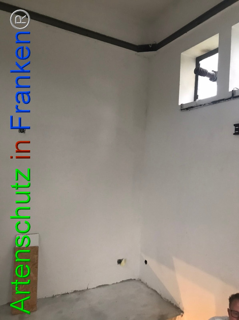 © Artenschutz in Franken® Bild zum Eintrag (1052957-160)